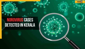 Norovirus